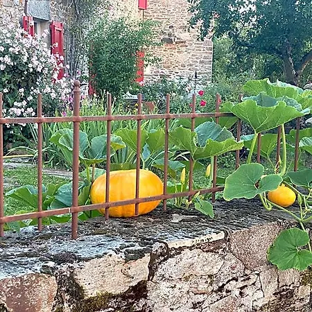 Le Couvent De Jouels Penzion